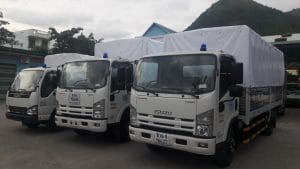 27173890 1719714958078953 3097009627916364353 o